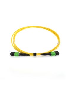 1m Senko MPO/APC F/F 12-Fiber Type A Singlemode Fiber Optic Cable